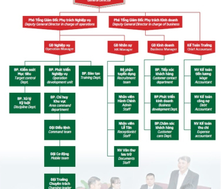 Cơ Cấu Tổ Chức