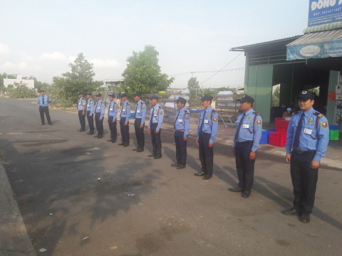 ĐỖ QUÂN THÁNG 3 NĂM 2019