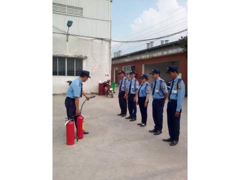 ĐÀO TẠO HUẤN LUYỆN THÁNG 11 NĂM 2019