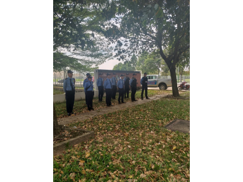 ĐỔ QUÂN THÁNG 10 VÀ THÁNG 11 NĂM 2019