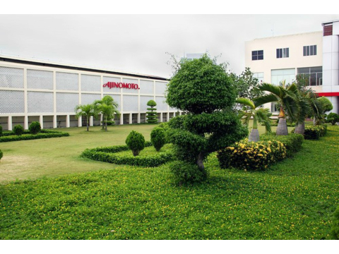 TRIỂN KHAI MỤC TIÊU AJINOMOTO VIỆT NAM